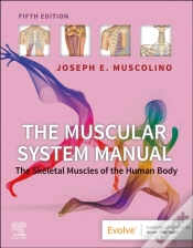 Capa do artigo Muscular System Manual - E-Book