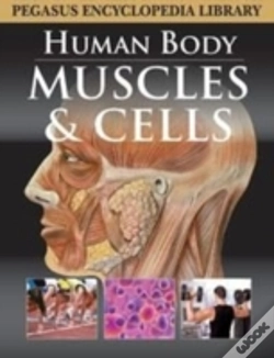 Capa do artigo Muscular System