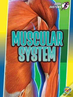 Capa do artigo Muscular System