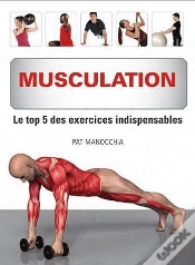 Capa do artigo Musculation. Le Top 5 Des Exercices Indispensables