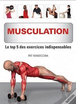 Capa do artigo Musculation. Le Top 5 Des Exercices Indispensables