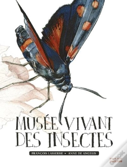 Capa do artigo Musée Vivant Des Insectes