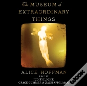 Capa do artigo Museum Of Extraordinary Things