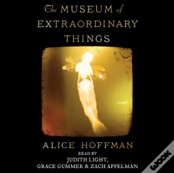 Capa do artigo Museum Of Extraordinary Things