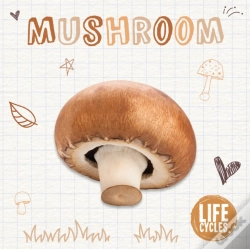 Capa do artigo Mushroom