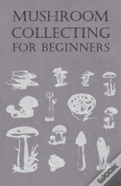 Capa do artigo Mushroom Collecting For Beginners