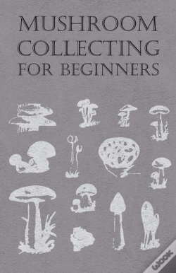 Capa do artigo Mushroom Collecting For Beginners