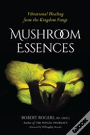Capa do artigo Mushroom Essences