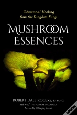 Capa do artigo Mushroom Essences
