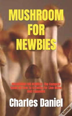Capa do artigo Mushroom For Newbies