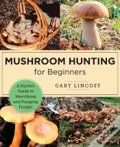 Capa do artigo Mushroom Hunting For Beginners