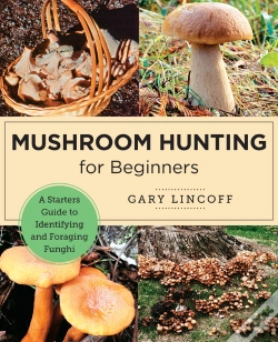 Capa do artigo Mushroom Hunting For Beginners