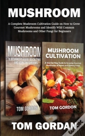 Capa do artigo Mushroom