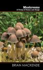 Mushrooms - Preview