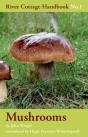Mushrooms - Preview