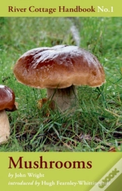 Capa do artigo Mushrooms