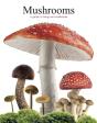 Mushrooms - Preview