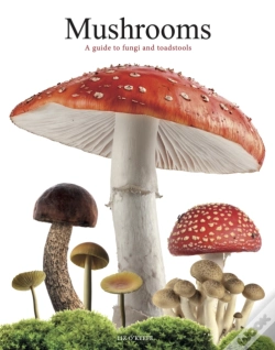 Capa do artigo Mushrooms
