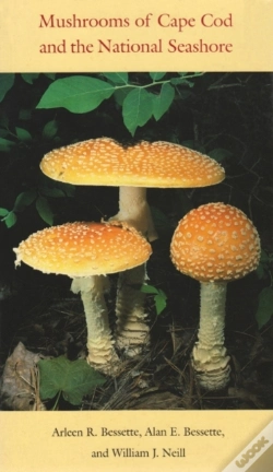 Capa do artigo Mushrooms Of Cape Cod And The National Seashore