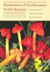 Capa do artigo Mushrooms Of Northeastern North America