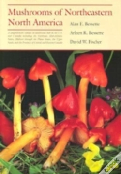 Capa do artigo Mushrooms Of Northeastern North America