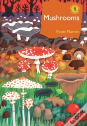 Capa do artigo Mushrooms