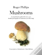 Capa do artigo Mushrooms