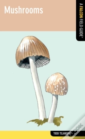 Capa do artigo Mushrooms
