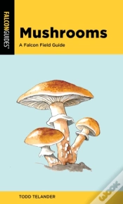 Capa do artigo Mushrooms