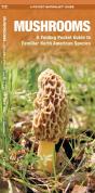 Mushrooms - Preview