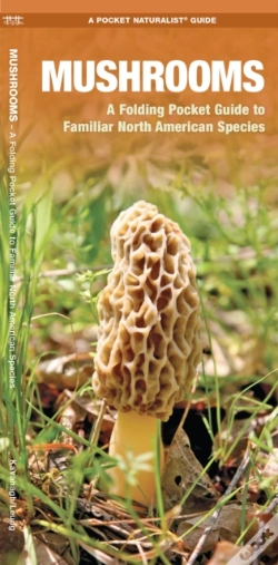 Capa do artigo Mushrooms