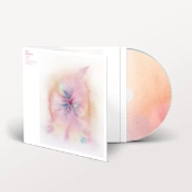 Capa do artigo Music for Psychedelic Therapy - CD