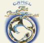Music Inspired By the Snow Goose - CD - Preview