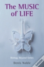 Capa do artigo Music Of Life