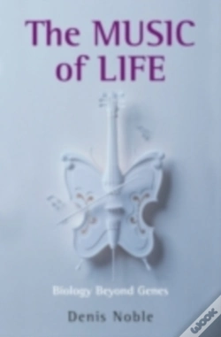 Capa do artigo Music Of Life