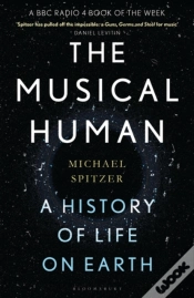 Capa do artigo Musical Human