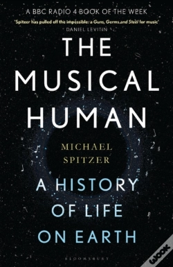 Capa do artigo Musical Human