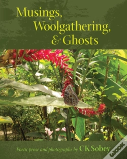 Capa do artigo Musings, Woolgathering,  Amp  Ghosts: Po