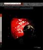 Musique Et Sacrée ; Actes De Colloques 17/18 Septembre 2004 - Preview