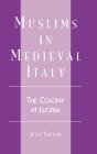 Muslims In Medieval Italy - Preview