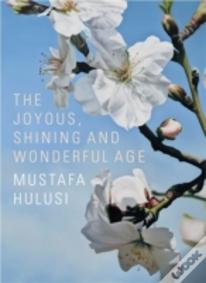 Mustafa Hulusi
