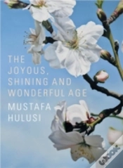 Capa do artigo Mustafa Hulusi