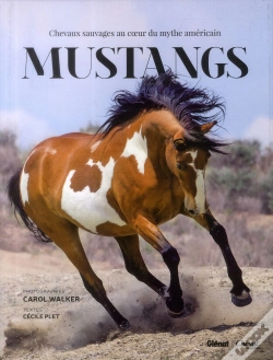 Capa do artigo Mustangs