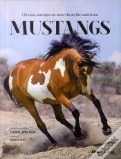 Capa do artigo Mustangs