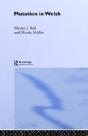 Mutation In Welsh - Preview