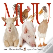 Capa do artigo Muu (2018)