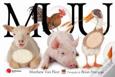 Muu