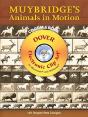 Muybridge'S Animals In Motion - Preview