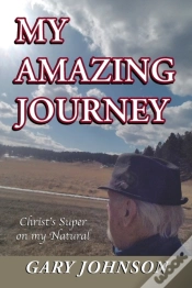 Capa do artigo My Amazing Journey
