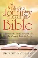 My Amazing Journey Through The Bible